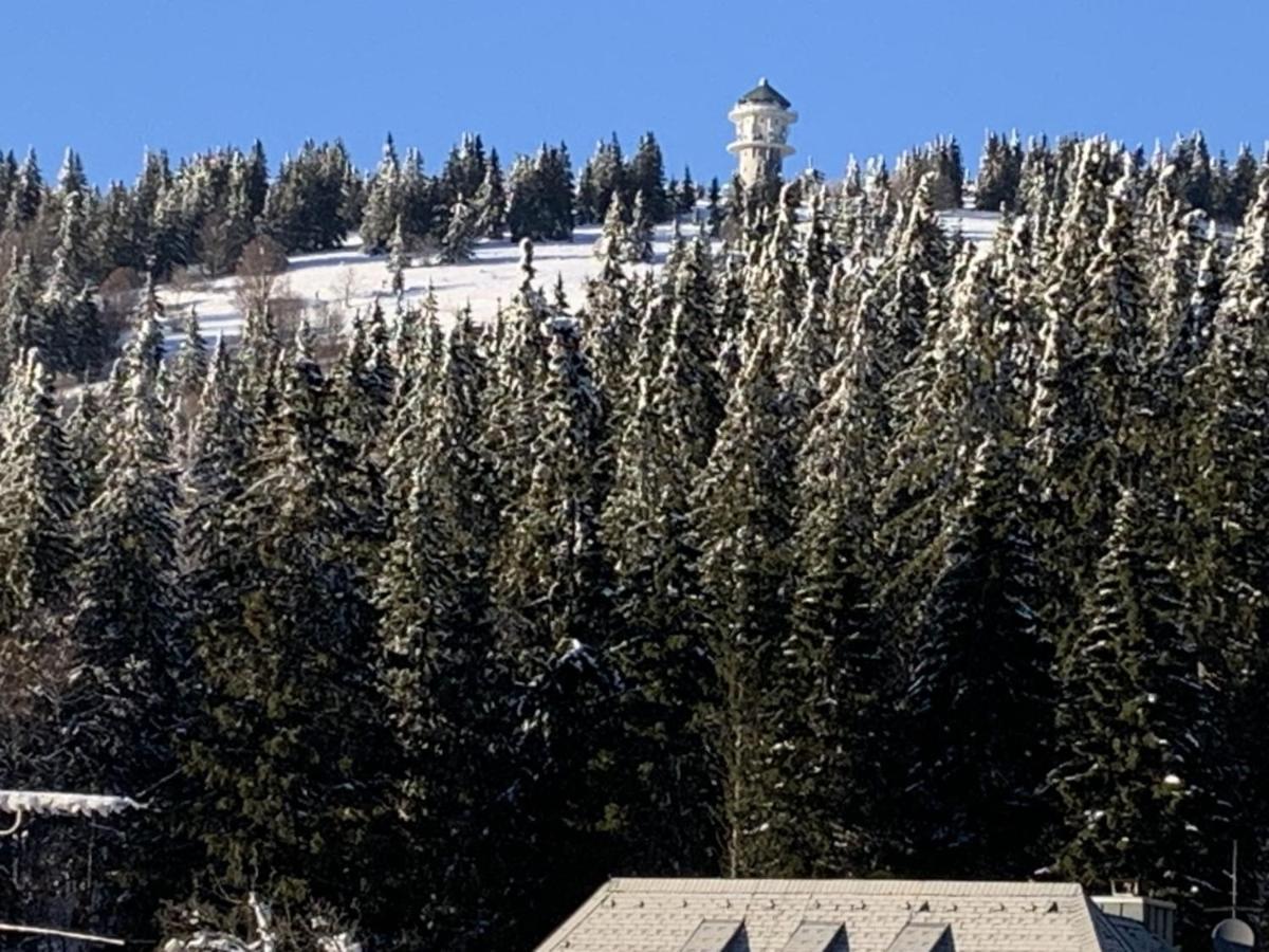 H&P Touristik Residenz Grafenmatt Gra-3-1 Lejlighed Feldberg  Eksteriør billede